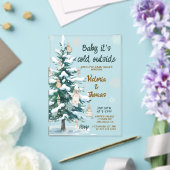 Invitations En Acrylique Baby It's Cold Outside Baby Shower (Insitu (Mariage))