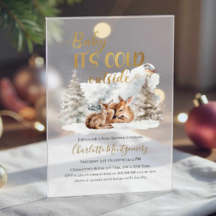 Invitations En Acrylique Bébé il fait froid à l'extérieur du Baby shower de