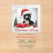Invitations En Acrylique Drôle Sarcastique Chat Santas Casquette Noël (Recto)
