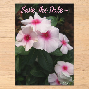 Invitations En Acrylique Enregistrer La Date 2025/26