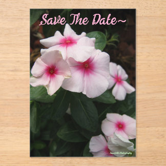 Invitations En Acrylique Enregistrer La Date 2025/26