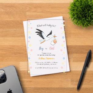 Invitations En Acrylique Fête de Révélation du Sexe de Bébé Fille Garçon Ci