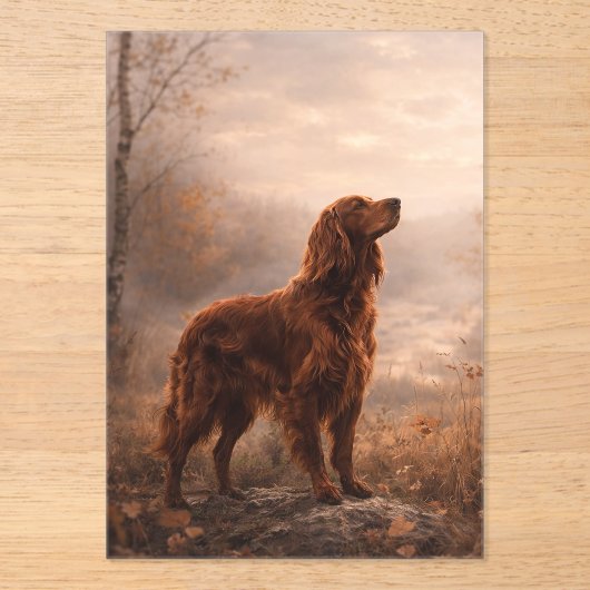 Invitations En Acrylique Irish Setter (Recto)