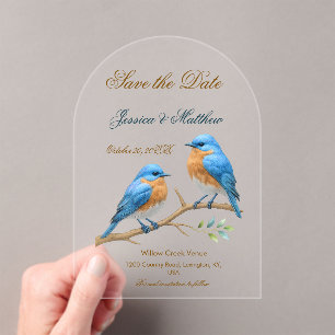 Invitations En Acrylique Ivory Pastel Lovebirds Romantique Bluebirds Mariag