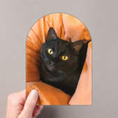 Invitations En Acrylique Joli chat noir (In situ (ordinateur de poche))