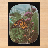 Invitations En Acrylique papillons orange (Recto)