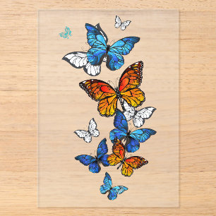Invitations En Acrylique Papillons volants Morpho et Monarch