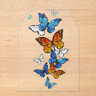 Invitations En Acrylique Papillons volants Morpho et Monarch