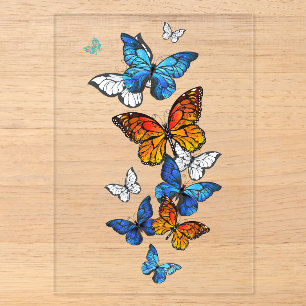 Invitations En Acrylique Papillons volants Morpho et Monarque