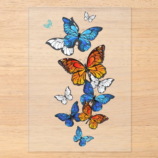Invitations En Acrylique Papillons volants Morpho et Monarque (Recto)