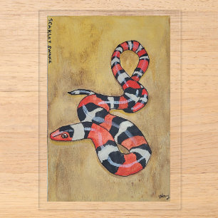 Invitations En Acrylique Peinture aquarelle de serpent écarlate