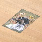 Invitations En Acrylique Pointer anglais (Poser)