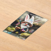 Invitations En Acrylique Rabbit Gnome Egg Basket Easter Brunch (Poser)