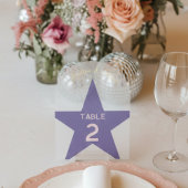 Invitations En Acrylique Retro Pastel Disco Wedding Table Number 