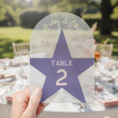 Invitations En Acrylique Retro Pastel Disco Wedding Table Number 