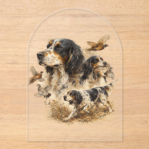 Invitations En Acrylique Setter anglais