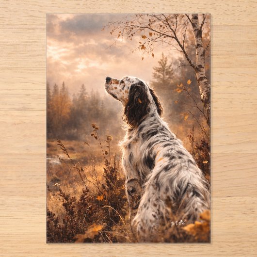 Invitations En Acrylique Setter anglais (Recto)