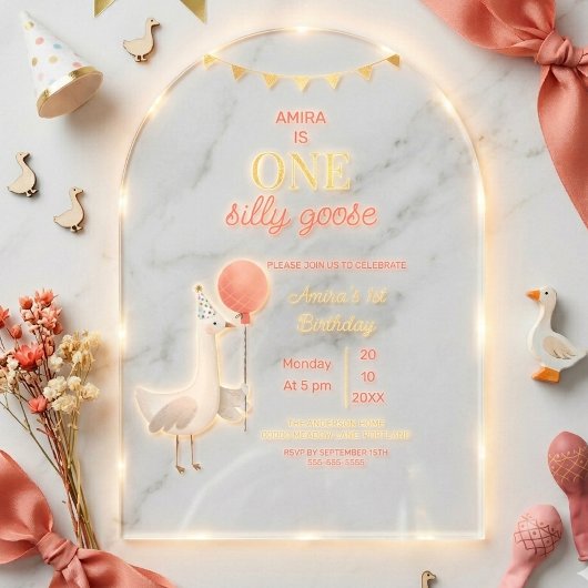 Invitations En Acrylique Silly Goose First Birthday Personalized Arch Party