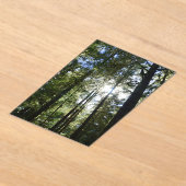 Invitations En Acrylique Sunlight Through Pine Trees (Poser)