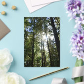 Invitations En Acrylique Sunlight Through Pine Trees (Insitu (Mariage))
