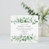 Invitations en treillis de l'Eucalyptus Envy Botan (Debout devant)