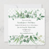 Invitations en treillis de l'Eucalyptus Envy Botan (Devant)