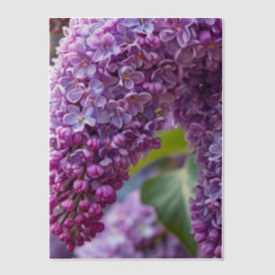 Invitations En Vélin Lilas Vellum Overlay