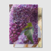 Invitations En Vélin Lilas Vellum Overlay (Décalage (Couple))