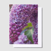 Invitations En Vélin Lilas Vellum Overlay (Compenser)