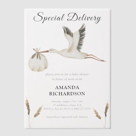 Invitations En Vélin Livraison spéciale Baby shower de cigogne d'aquare (Recto)