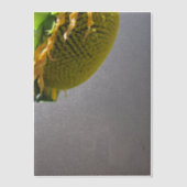 Invitations En Vélin Superposition de papier calque tournesol (Recto)