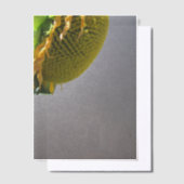 Invitations En Vélin Superposition de papier vélin tournesol (Compenser)