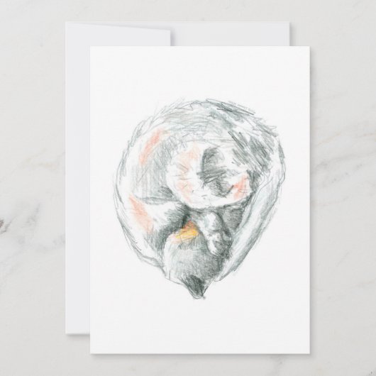 Invitations Et Annonces De Cat Nap (Devant)