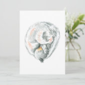 Invitations Et Annonces De Cat Nap (Debout devant)