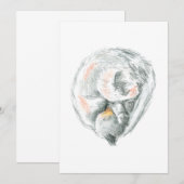 Invitations Et Annonces De Cat Nap (Devant / Derrière)