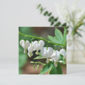 Invitations fleurissantes de défenseur de la veuve (Debout devant)