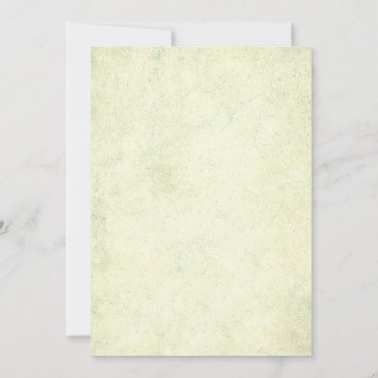 Invitations florales Vintages Turquoise (Dos)