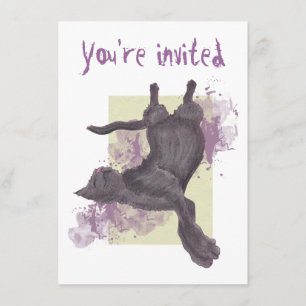 Invitations frais d'anniversaire de chat de bande
