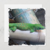 Invitations géantes de carré de Gecko de jour du (Devant / Derrière)