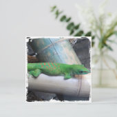 Invitations géantes de carré de Gecko de jour du (Debout devant)