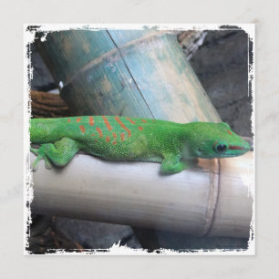 Invitations géantes de carré de Gecko de jour du