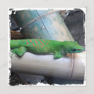 Invitations géantes de carré de Gecko de jour du
