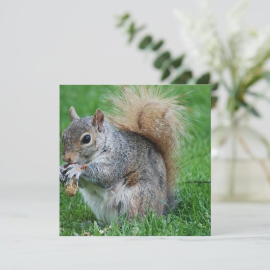 Invitations grises d'écureuil (Debout devant)