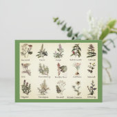 Invitations Herbes et épices (Debout devant)