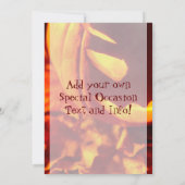 Invitations Jack o' Lantern Halloween (Dos)