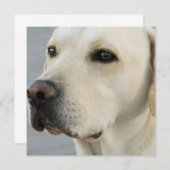 Invitations jaunes de laboratoire (Devant / Derrière)