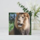 Invitations majestueuses de lion (Debout devant)