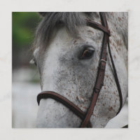 Invitations mignonnes de cheval d'Appaloosa