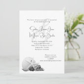 Invitations noires et blanches coquilles côtières (Debout devant)