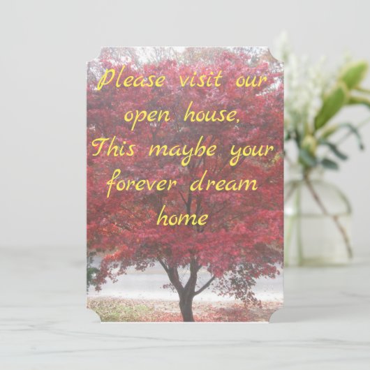 Invitations Open House (Debout devant)